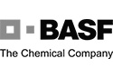 Logo__0007_BASF Strober & Partner