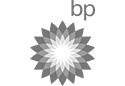 Logos__0002_BP Strober & Partner